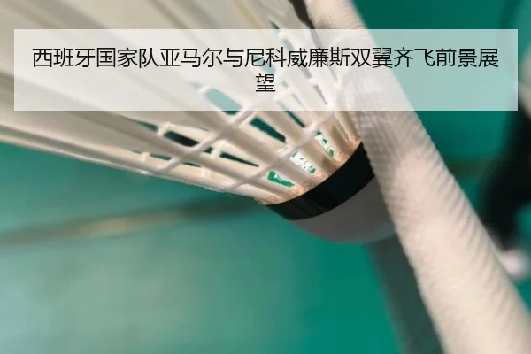 西班牙国家队亚马尔与尼科威廉斯双翼齐飞前景展望